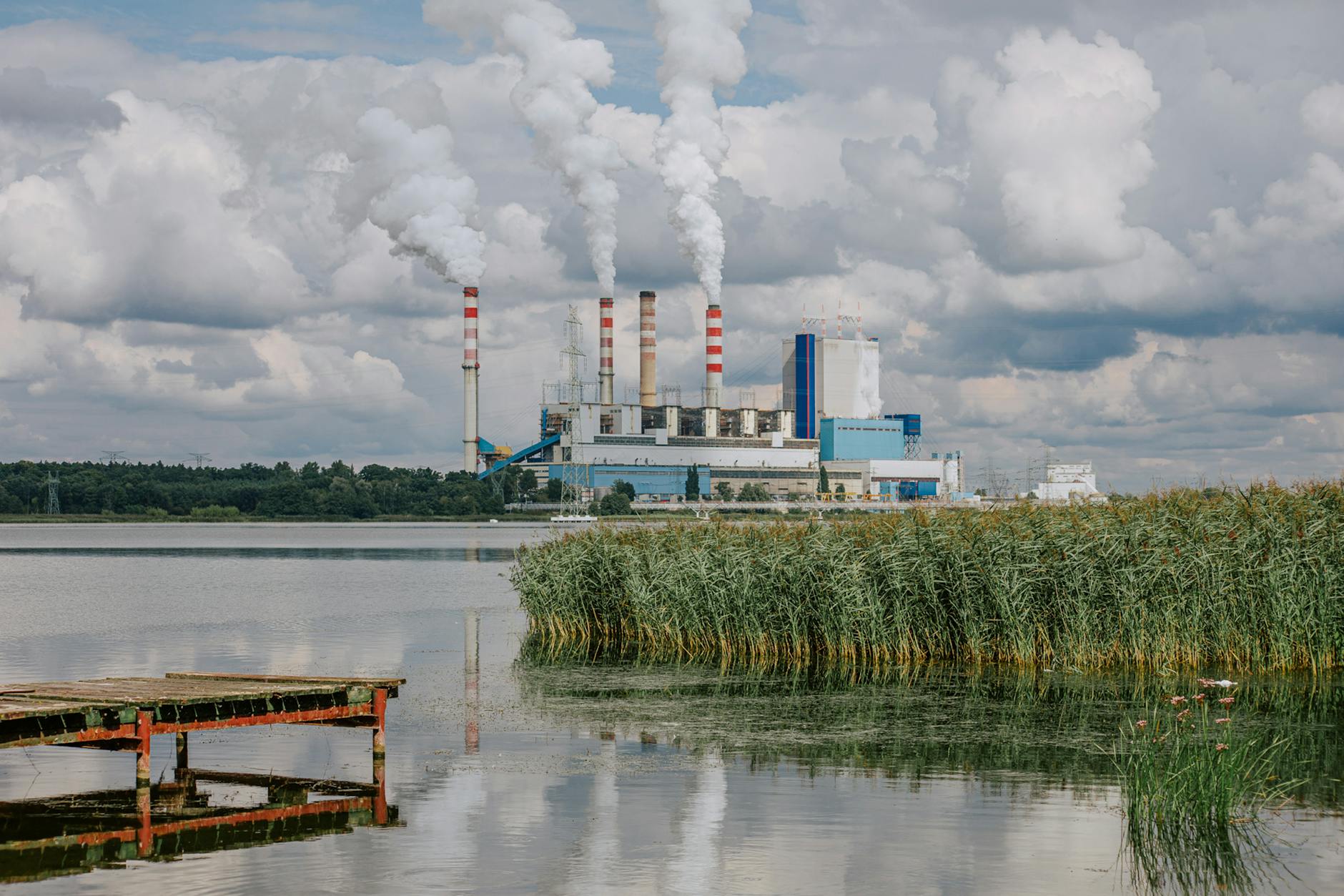 Elektrownia nad jeziorem z dymiącymi kominami i trzcinami na pierwszym planie